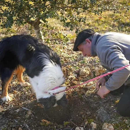 Prázdninový dům Aux Delices De Saleix *
