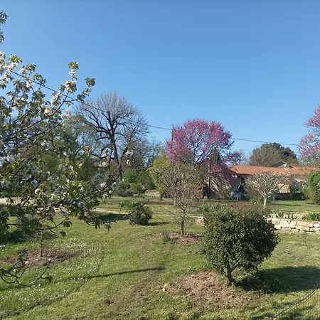 Holiday home Aux Delices De Saleix
