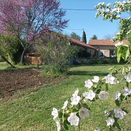 Aux Delices De Saleix Sorges